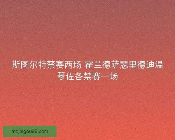 斯图尔特禁赛两场 霍兰德萨瑟里德迪温琴佐各禁赛一场