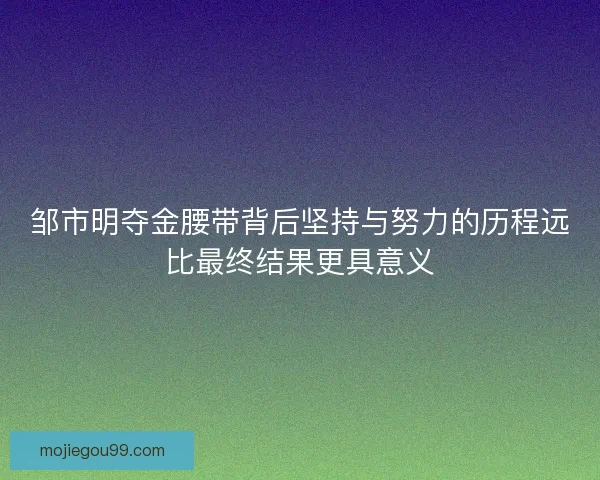 邹市明夺金腰带背后坚持与努力的历程远比最终结果更具意义